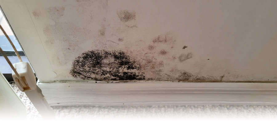Post Mold Remediation Cleaning